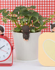 Monchhichi Hipper Blind Box by Dreams
