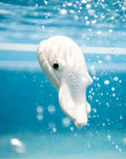 Walter the Whale Bath Toy