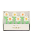Daisy Candles by Meri Meri