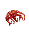Octopus Claw in Blossom