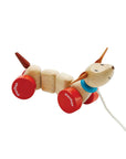 Happy Puppy Pull-Along Toy