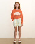 Multicolor Stripe Shorts