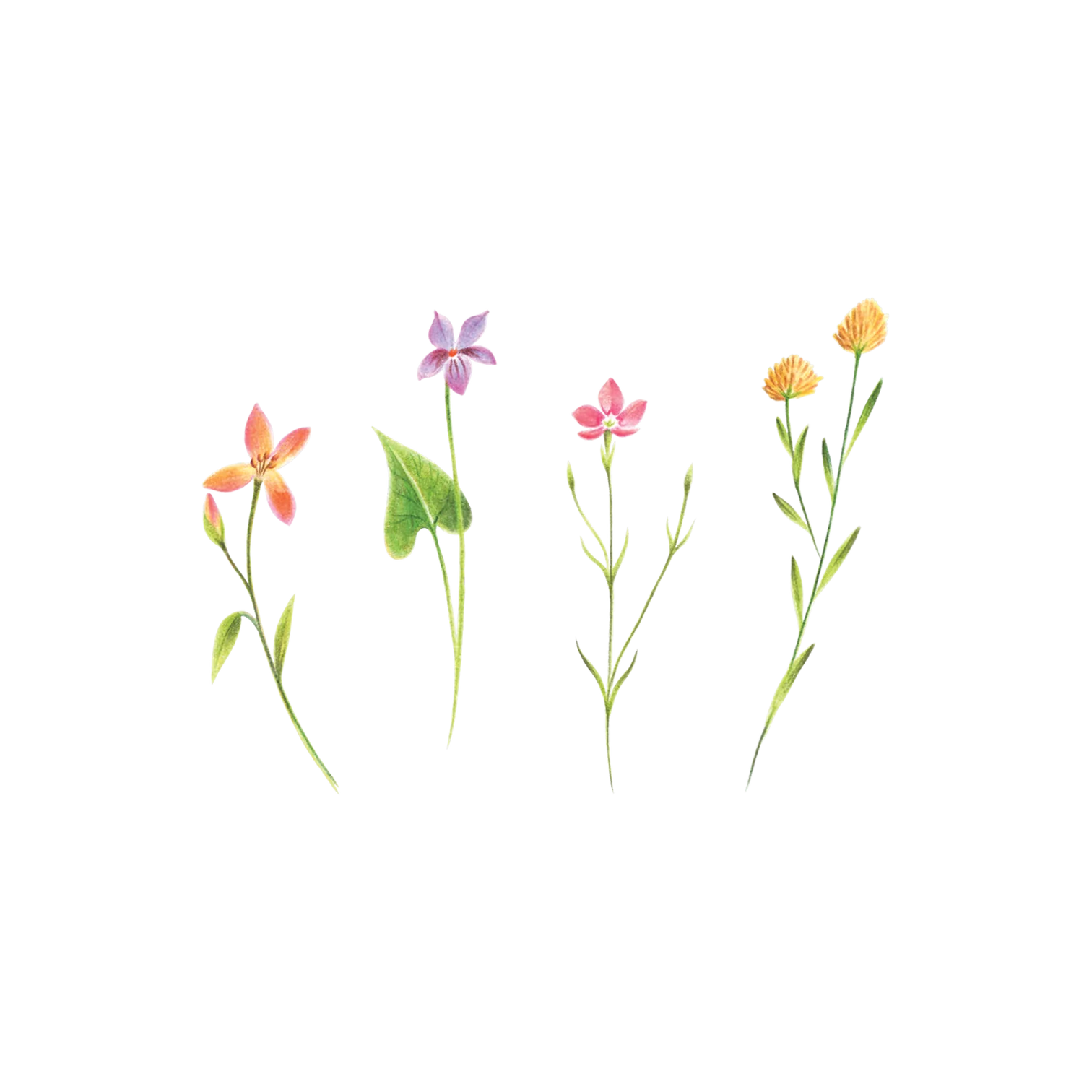 Petite Florals Tattoo Pair by Tattly