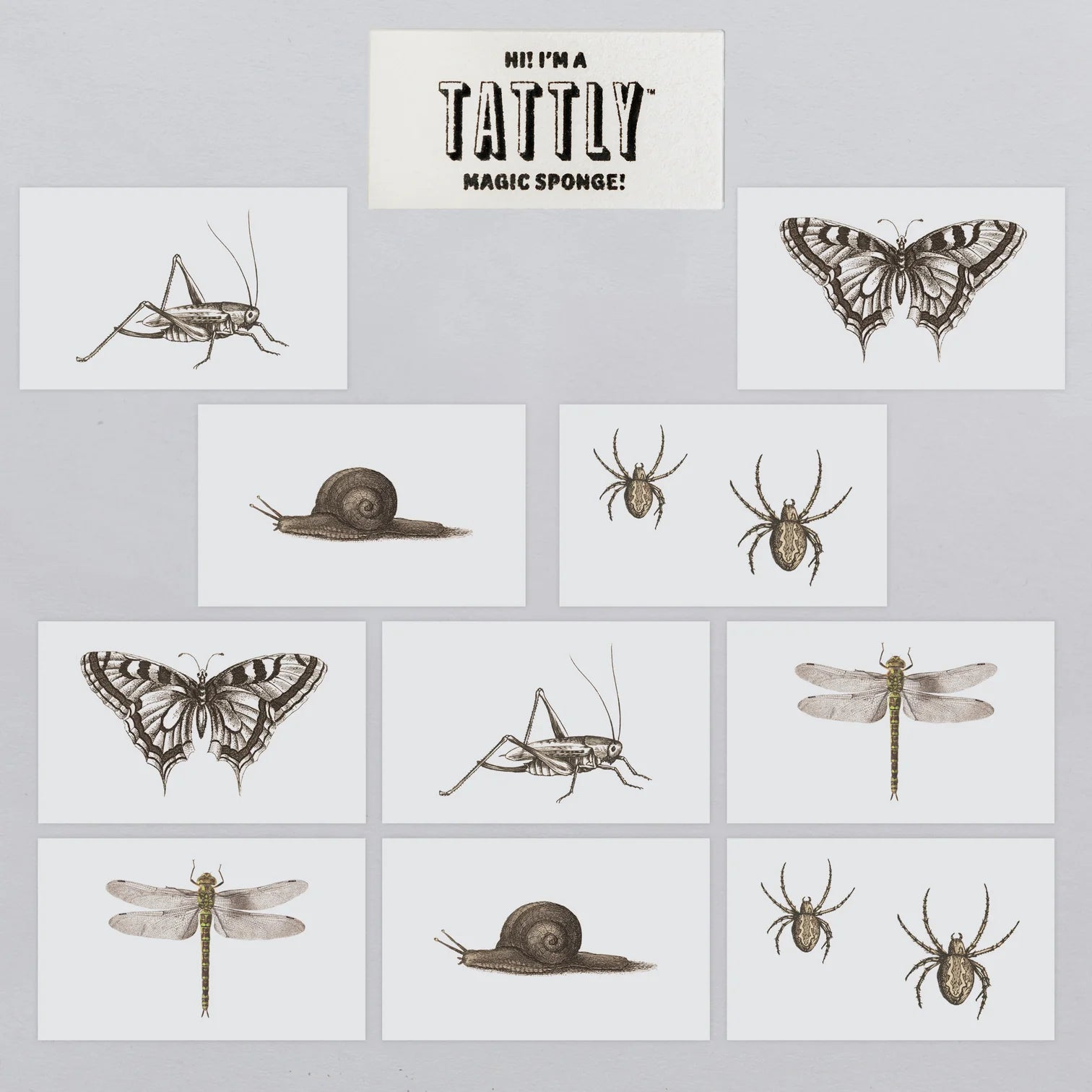 National Gallery of Art Insects Tattoo Tin by Tattly