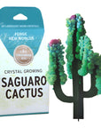 Crystal Growing Saguaro Cactus