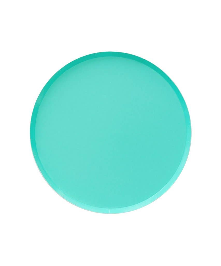 SALE Large Low Rim Plates by Oh Happy Day Party Shop (More Colors Available)