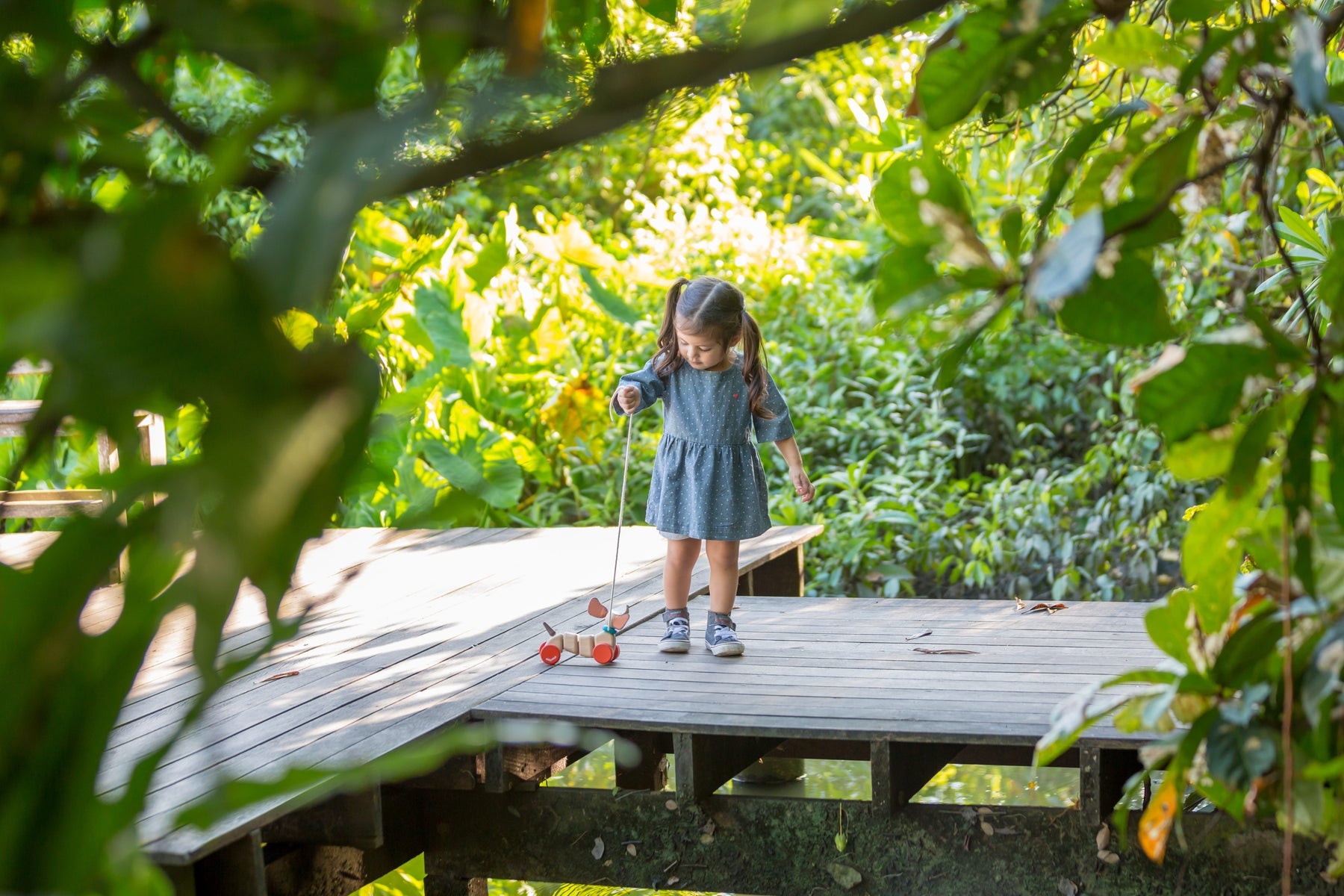 Happy Puppy Pull-Along by Plan Toys