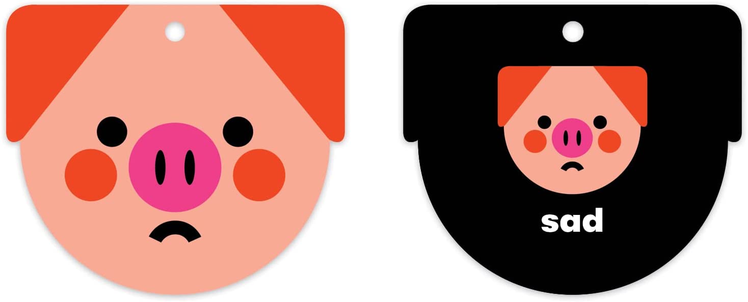 How Are You Feeling Shaped Ring Flash Cards by Mudpuppy