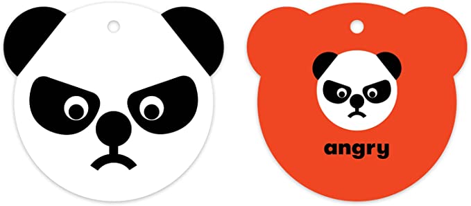 How Are You Feeling Shaped Ring Flash Cards by Mudpuppy