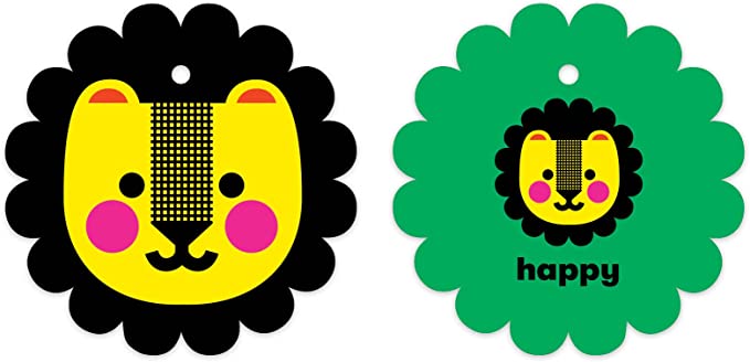 How Are You Feeling Shaped Ring Flash Cards by Mudpuppy