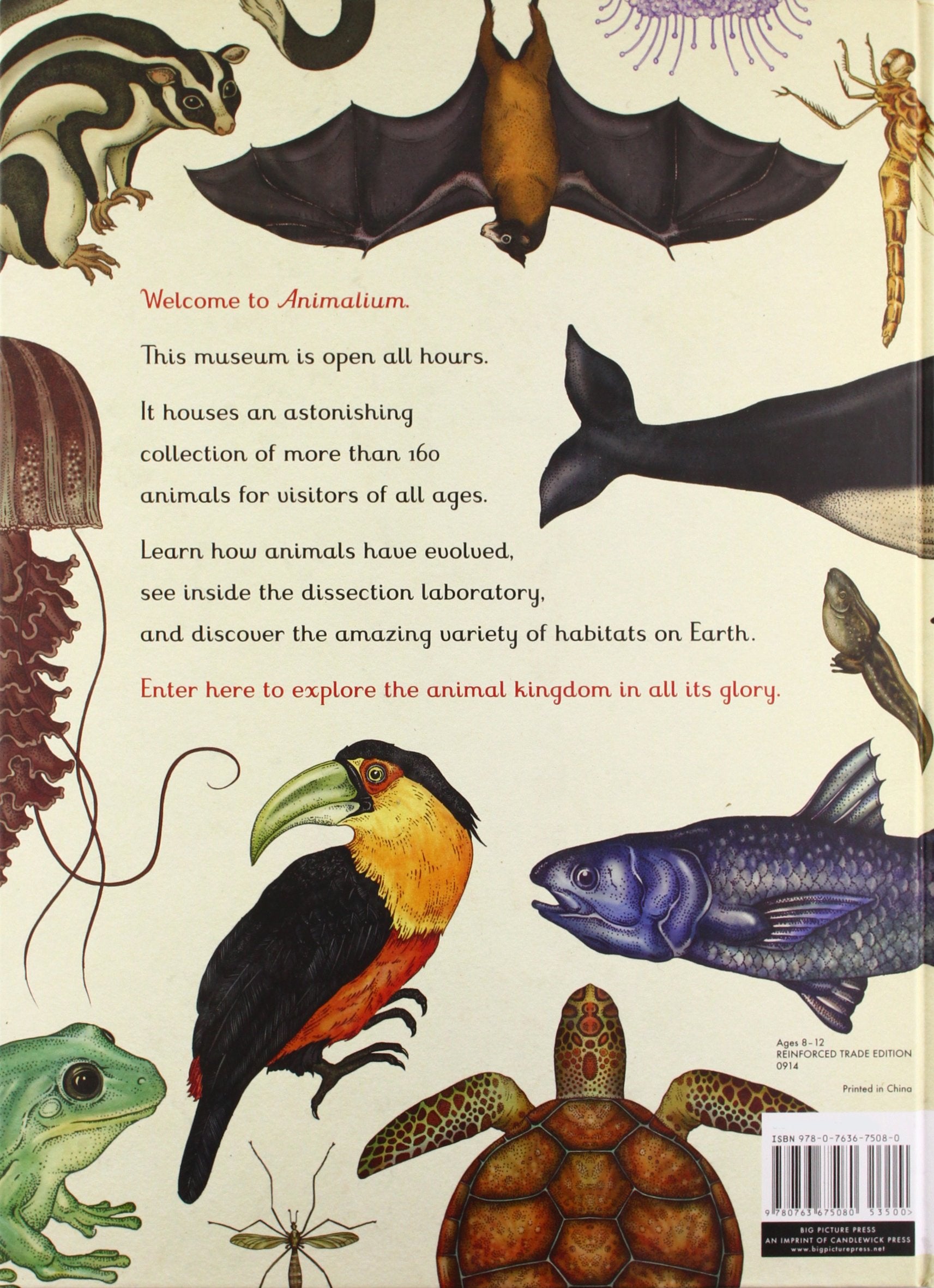 Animalium: Welcome to the Museum Book by Jenny Broom and Katie Scott