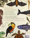 Animalium: Welcome to the Museum Book by Jenny Broom and Katie Scott
