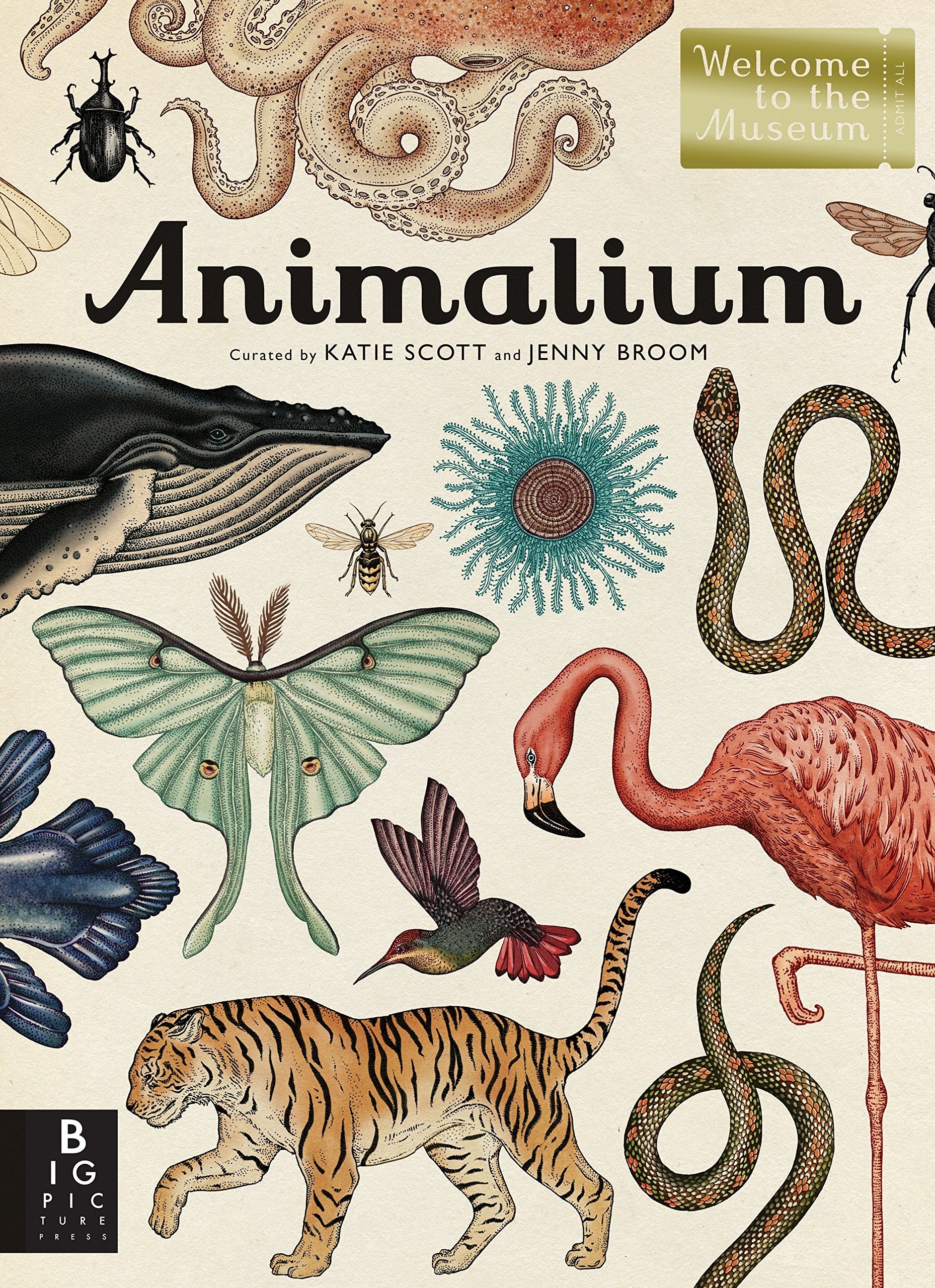 Animalium: Welcome to the Museum Book by Jenny Broom and Katie Scott
