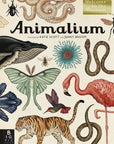 Animalium: Welcome to the Museum Book by Jenny Broom and Katie Scott