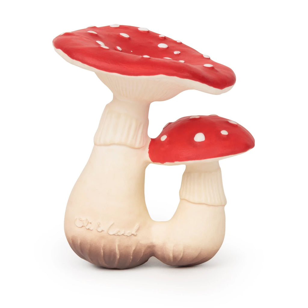 Spot The Mushroom by Oli & Carol