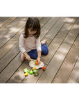 Assorted Fruit Set by Plan Toys