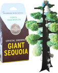 Crystal Growing Giant Sequoia by Copernicus Toys