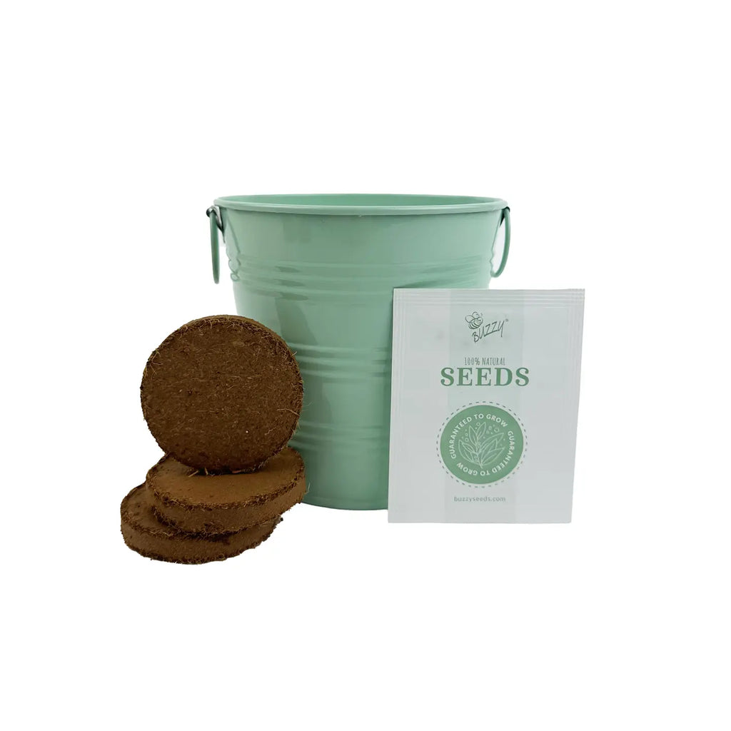 Lavender Grow Kit by Buzzy, Inc.