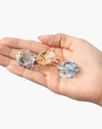 Micro Fish Hair Claw Clip Set