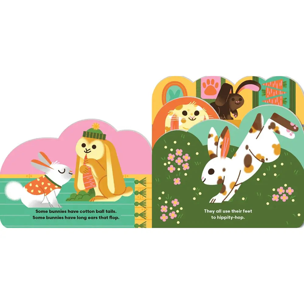 Some Bunnies Board Book by Lydia Nichols