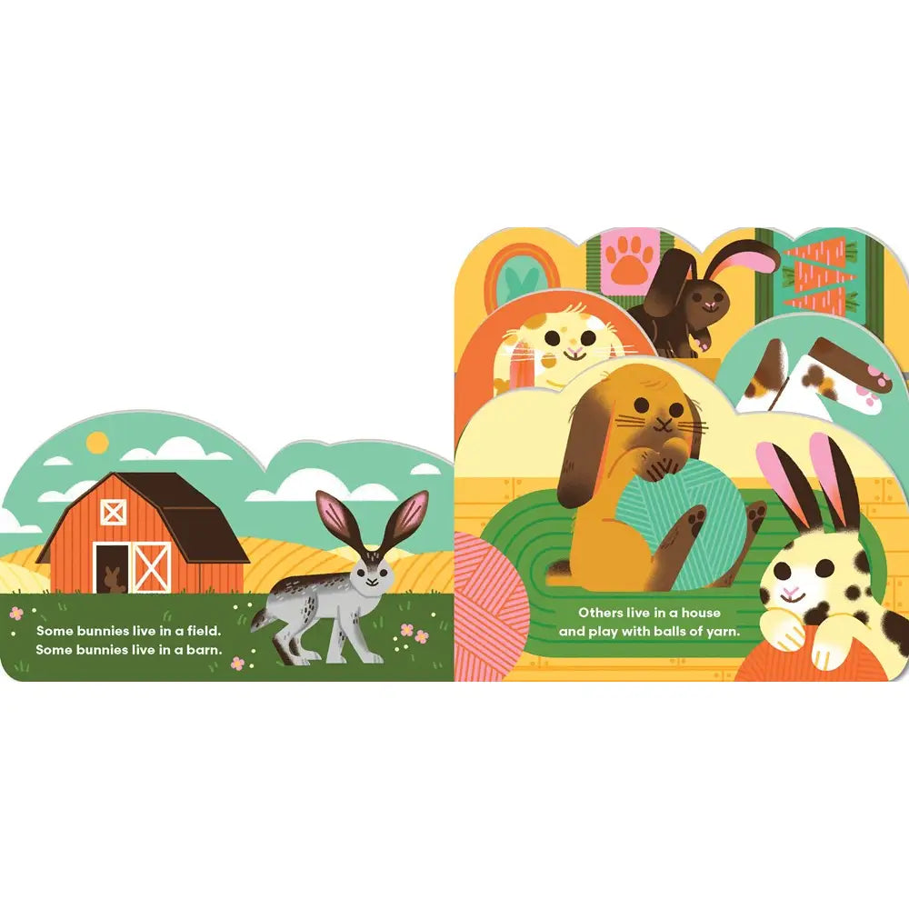 Some Bunnies Board Book by Lydia Nichols