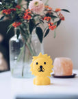 Lion Bundle of Light Lamp by Mr Maria