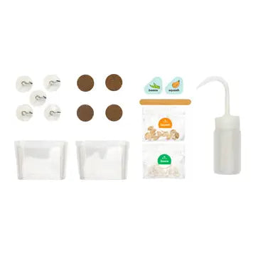 Window Garden DIY Growing Plant Kit