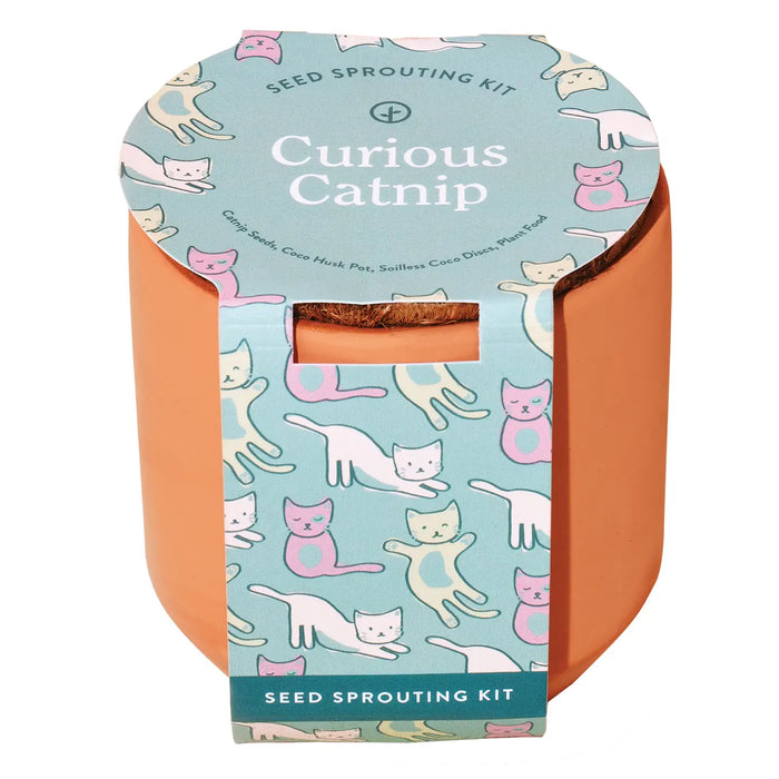 SALE Tiny Terracotta Pet Grow Kits by Modern Sprout