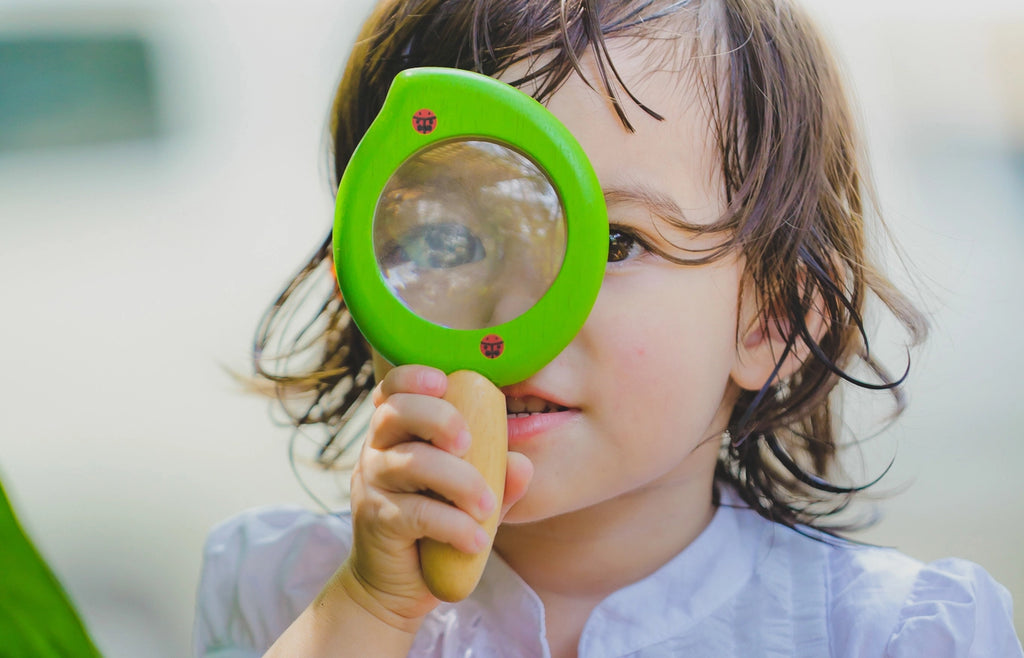 Leaf Magnifier by Plan Toys