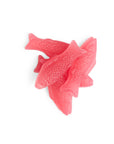 Raspberry Candy Fish