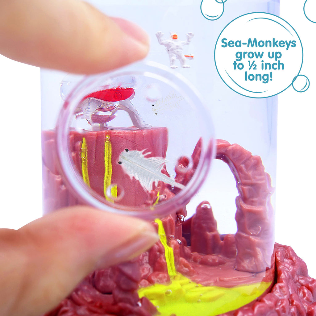 Sea Monkeys on Mars by Schylling
