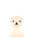Snuffy Bundle of Light Lamp by Mr Maria