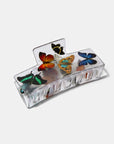 Box Claw in Butterfly by Chunks