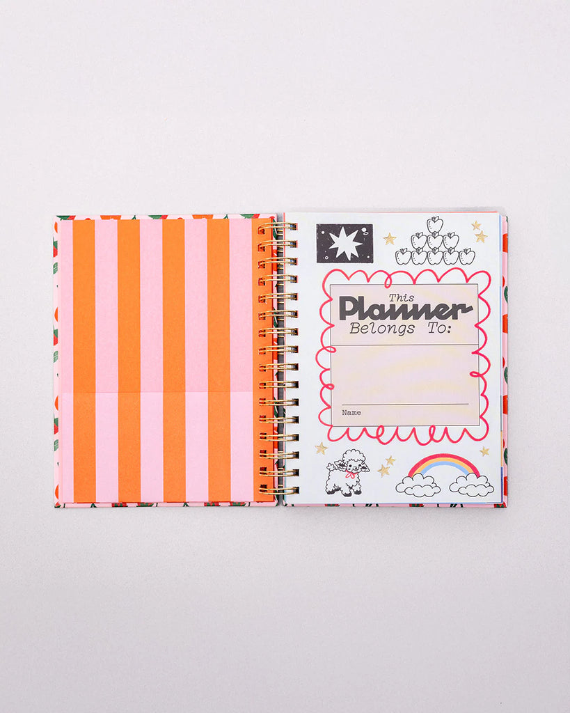 17 Month Medium Planner - Infinite Potential by ban.dō