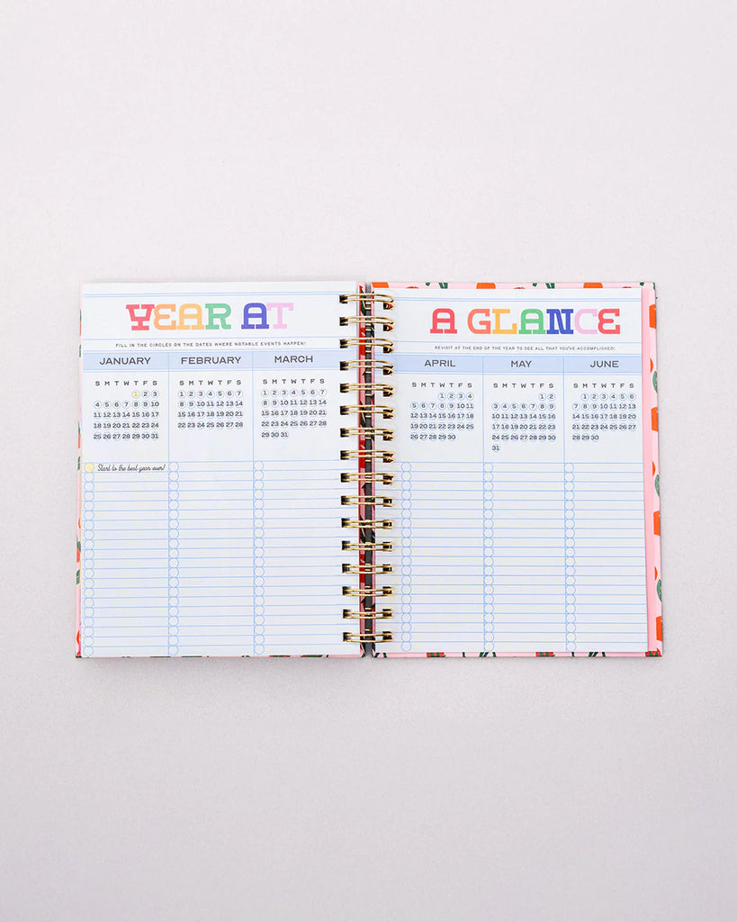 17 Month Medium Planner - Infinite Potential by ban.dō