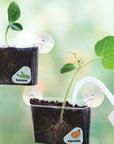 Window Garden DIY Growing Plant Kit