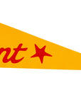 Make It Count Pennant
