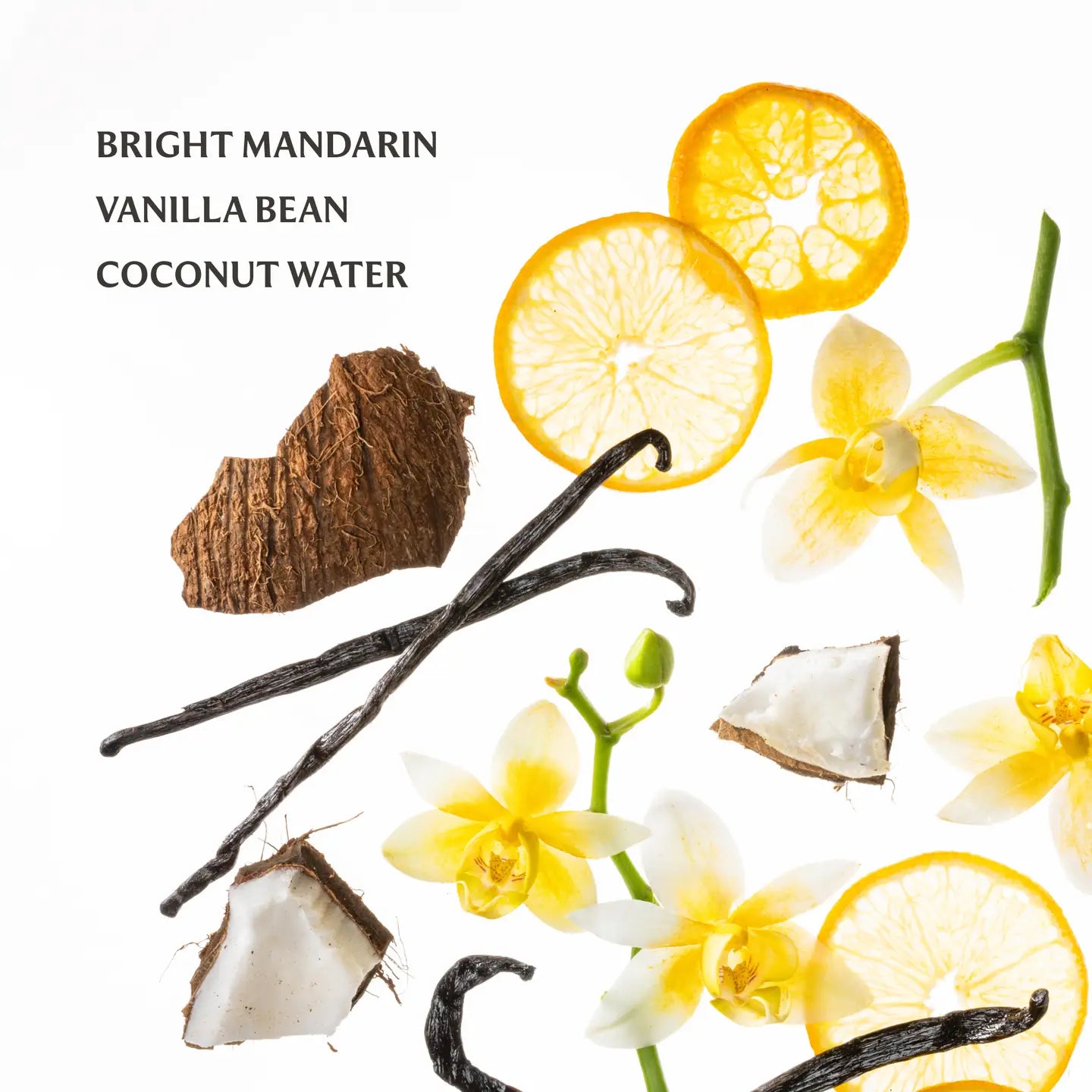 Vanilla Blossom Touchland Hydrating Hand Sanitizer