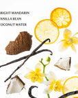 Vanilla Blossom Touchland Hydrating Hand Sanitizer