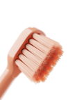 Replacement Heads for Happ E-Brush