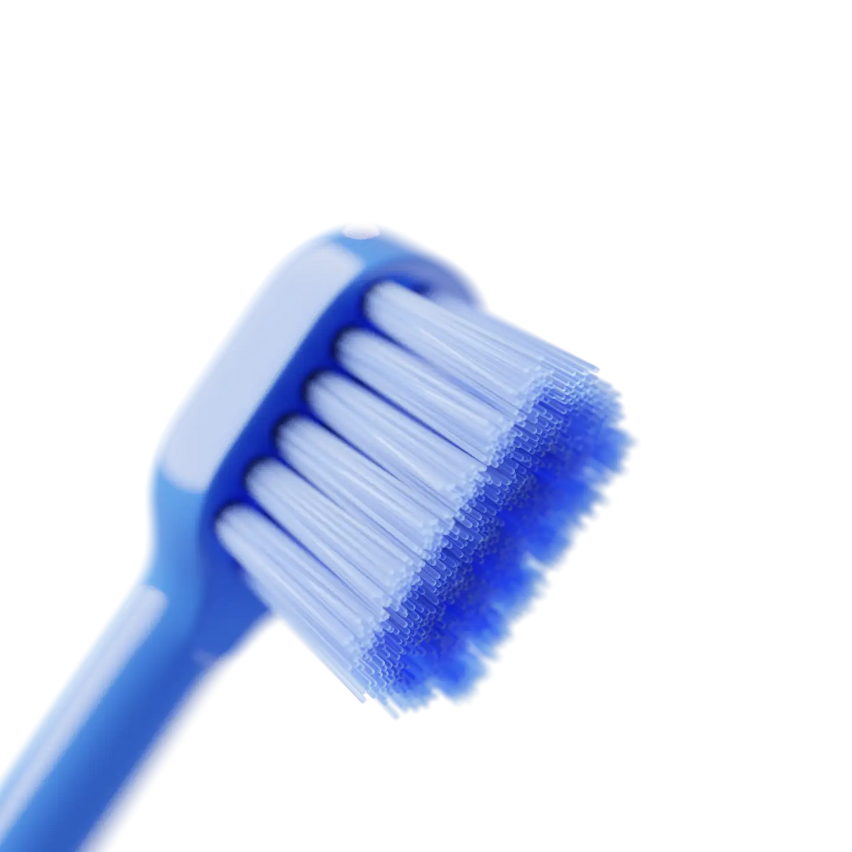 Replacement Heads for Happ E-Brush