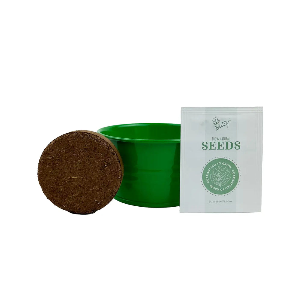 Strawberry Grow Kit by Buzzy, Inc.