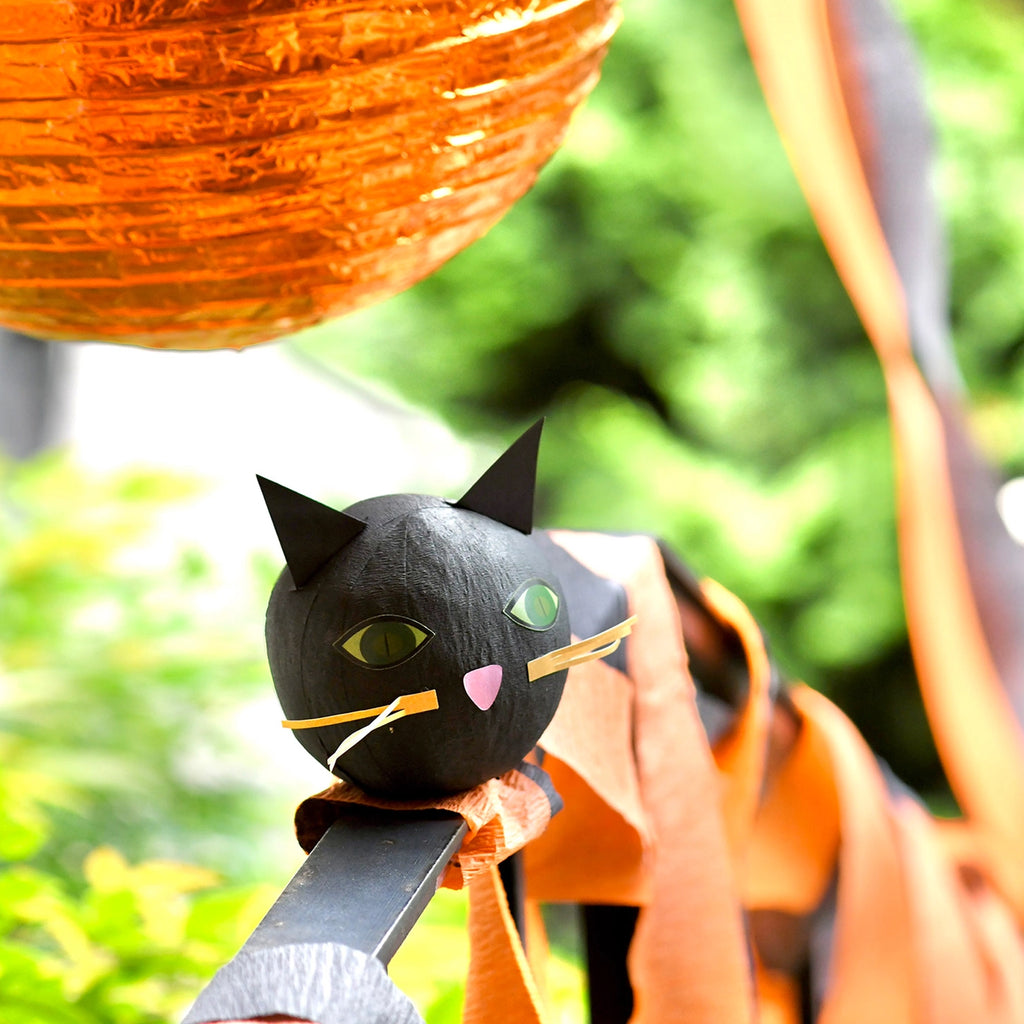 Black Cat Deluxe Surprise Ball Surprise Ball by TOPS Malibu