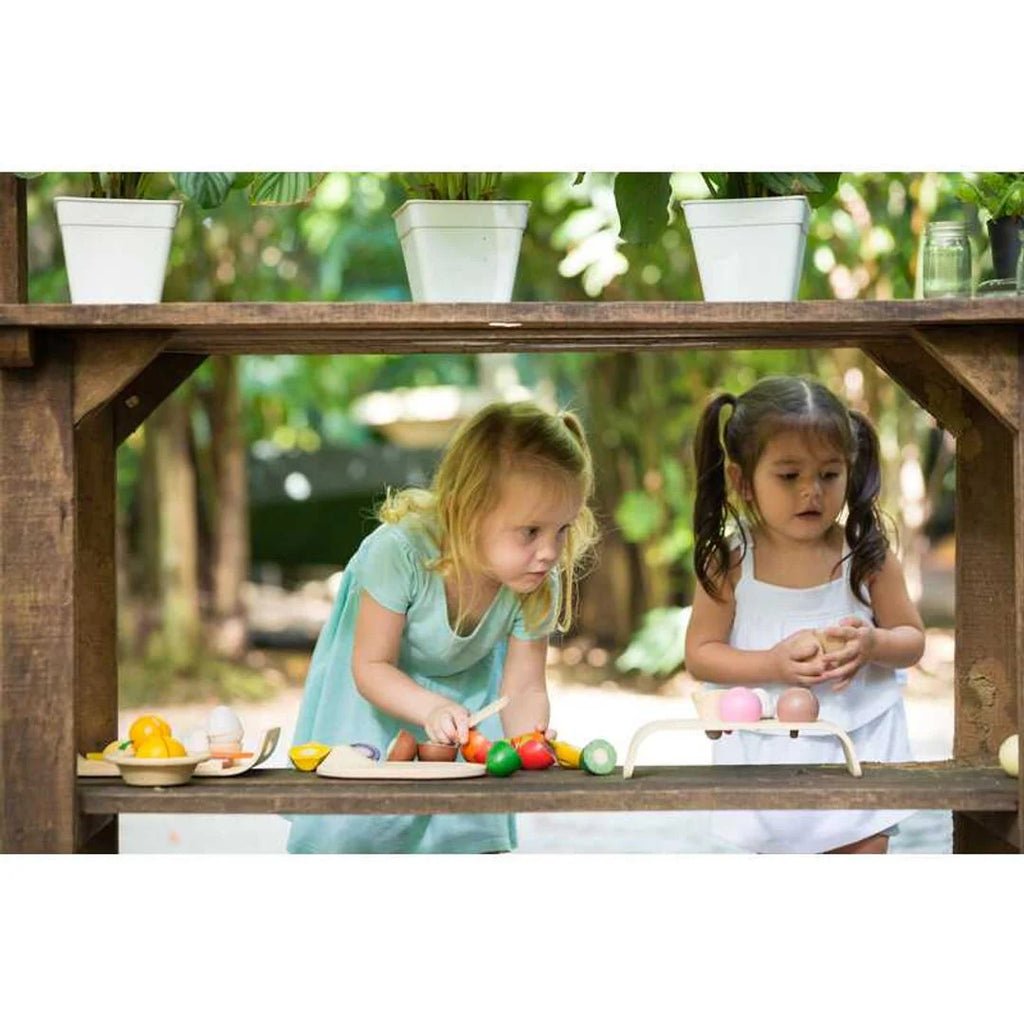 Assorted Fruit and Vegetable Set by Plan Toys