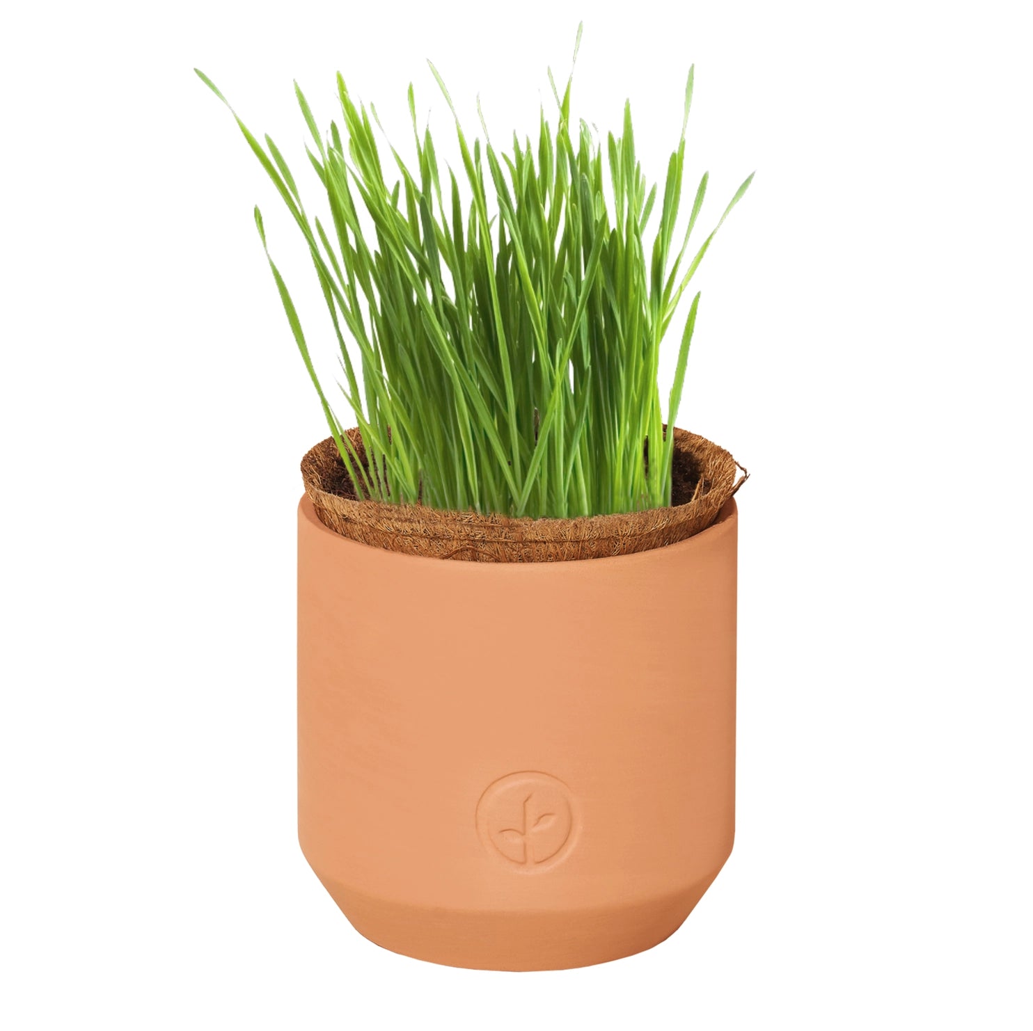SALE Tiny Terracotta Pet Grow Kits by Modern Sprout