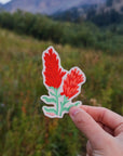 Paintbrush Wildflower Sticker