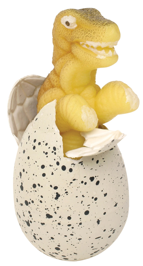 Ginormous Grow Dino Egg by Toysmith