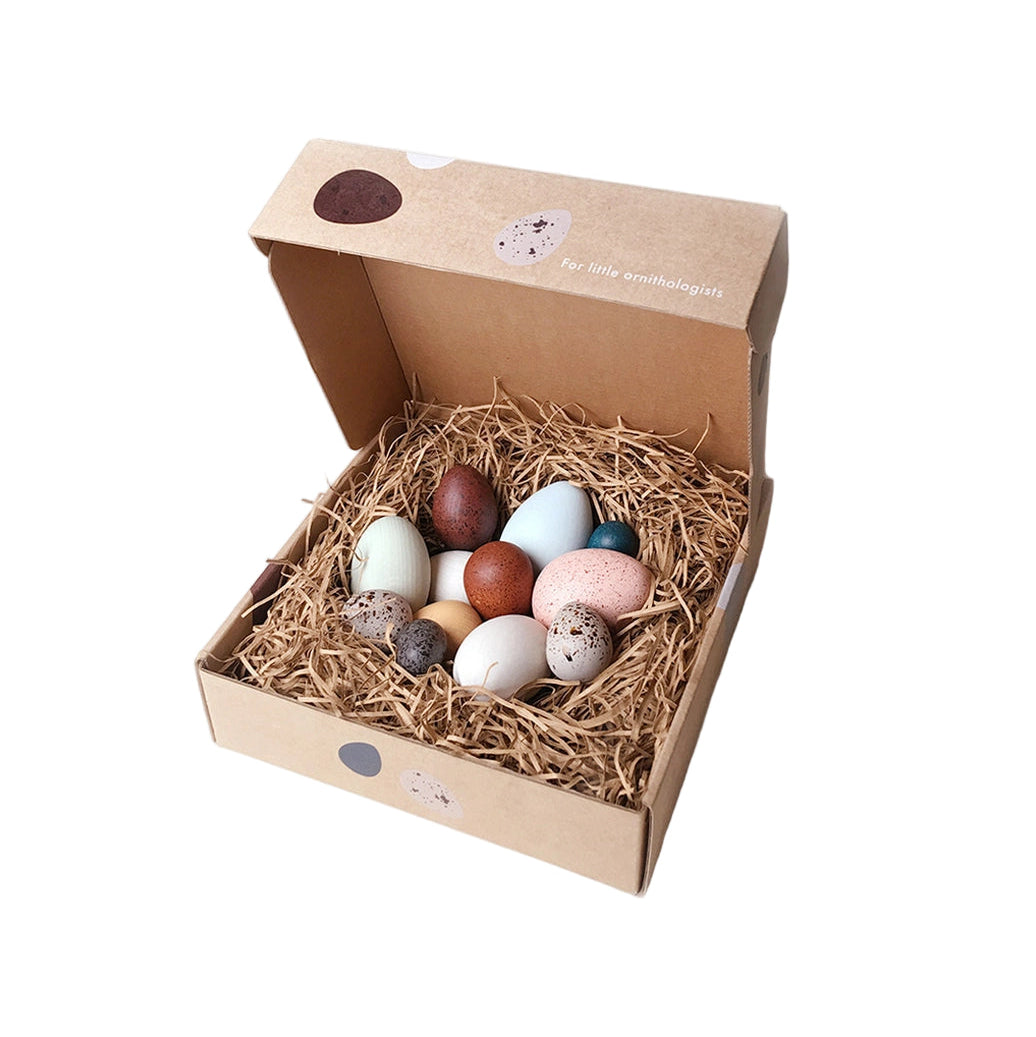 A Dozen Bird Eggs In a Box by Moon Picnic