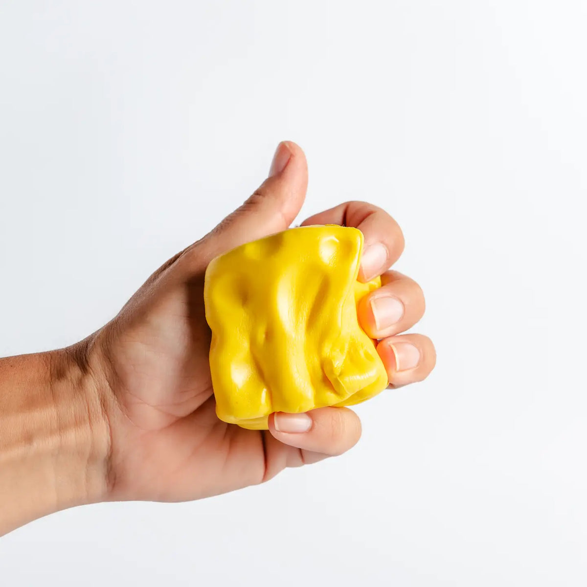 Slow Rising Cheese Squishy