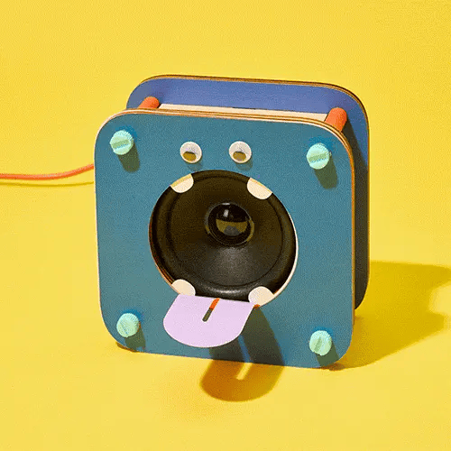 Silly Speaker DIY Kit